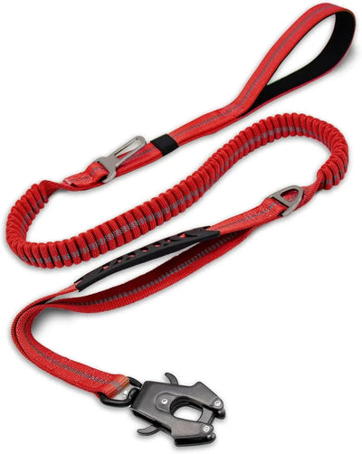 https://cdn.shopify.com/s/files/1/0647/9170/7830/files/laisse-pour-chien-indestructible-7636898.webp?v=1777923575