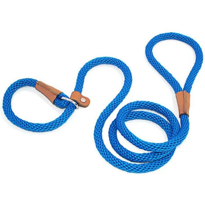 https://cdn.shopify.com/s/files/1/0647/9170/7830/files/laisse-pour-chien-lasso-1047775.webp?v=1777924391