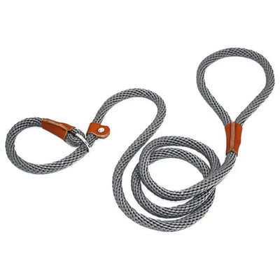 https://cdn.shopify.com/s/files/1/0647/9170/7830/files/laisse-pour-chien-lasso-3171755.webp?v=1777924391