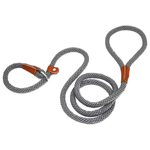 https://cdn.shopify.com/s/files/1/0647/9170/7830/files/laisse-pour-chien-lasso-8554105.webp?v=1777924391
