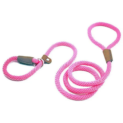 https://cdn.shopify.com/s/files/1/0647/9170/7830/files/laisse-pour-chien-lasso-4831263.webp?v=1777924392