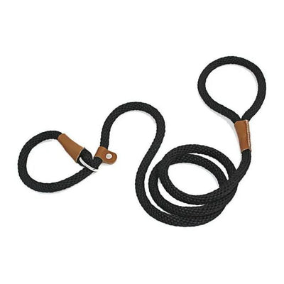 https://cdn.shopify.com/s/files/1/0647/9170/7830/files/laisse-pour-chien-lasso-6633307.webp?v=1777924391