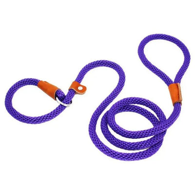 https://cdn.shopify.com/s/files/1/0647/9170/7830/files/laisse-pour-chien-lasso-8550158.webp?v=1777924391