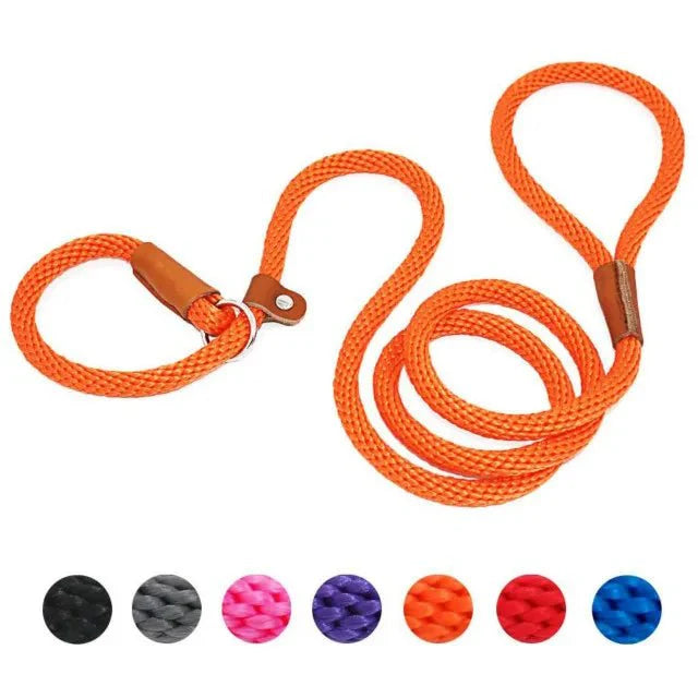 https://cdn.shopify.com/s/files/1/0647/9170/7830/files/laisse-pour-chien-lasso-8554105.webp?v=1777924391