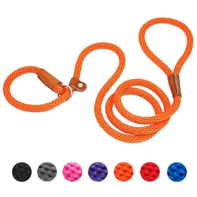 https://cdn.shopify.com/s/files/1/0647/9170/7830/files/laisse-pour-chien-lasso-8554105.webp?v=1777924391