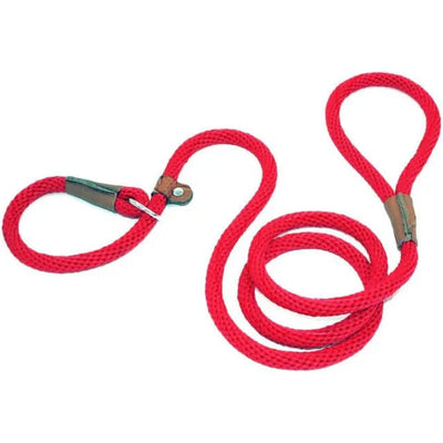 https://cdn.shopify.com/s/files/1/0647/9170/7830/files/laisse-pour-chien-lasso-9762351.webp?v=1777924392