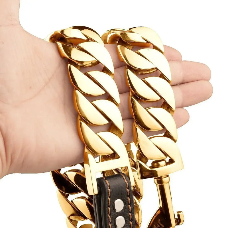 https://cdn.shopify.com/s/files/1/0647/9170/7830/files/laisse-pour-chien-luxe-3371619.webp?v=1777923612