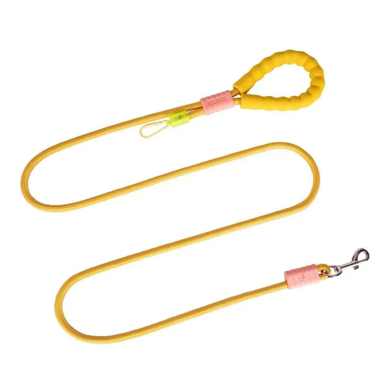 https://cdn.shopify.com/s/files/1/0647/9170/7830/files/laisse-pour-chien-malinois-8745582.webp?v=1777923797