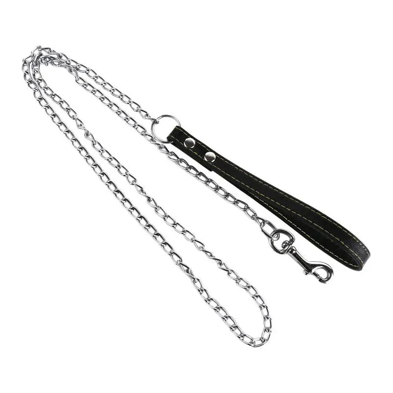 https://cdn.shopify.com/s/files/1/0647/9170/7830/files/laisse-pour-chien-pas-cher-7505691.webp?v=1777924395
