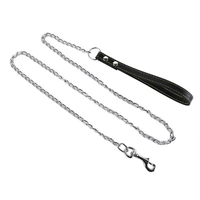 https://cdn.shopify.com/s/files/1/0647/9170/7830/files/laisse-pour-chien-pas-cher-7505691.webp?v=1777924395
