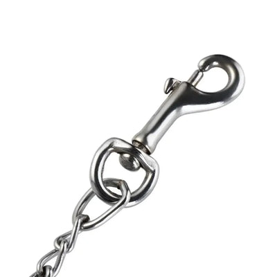 https://cdn.shopify.com/s/files/1/0647/9170/7830/files/laisse-pour-chien-pas-cher-9927463.webp?v=1777924395