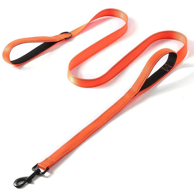 https://cdn.shopify.com/s/files/1/0647/9170/7830/files/laisse-pour-chien-puissant-8881522.webp?v=1777924390