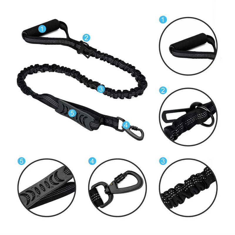 https://cdn.shopify.com/s/files/1/0647/9170/7830/files/laisse-pour-chien-retractable-2671801.webp?v=1777923553