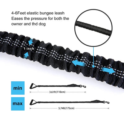 https://cdn.shopify.com/s/files/1/0647/9170/7830/files/laisse-pour-chien-retractable-9357952.webp?v=1777923554