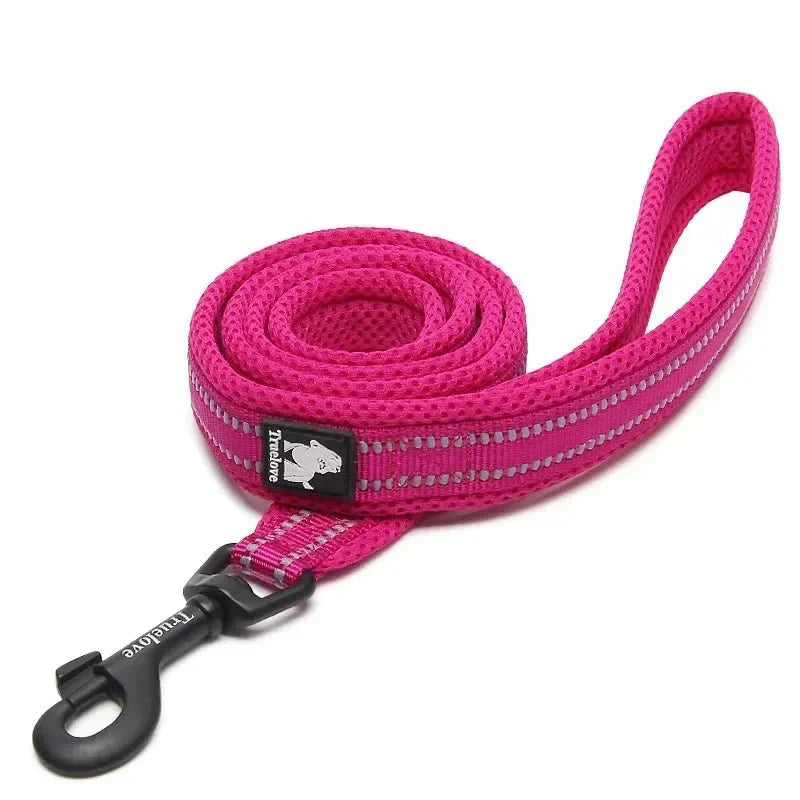 https://cdn.shopify.com/s/files/1/0647/9170/7830/files/laisse-pour-chien-rose-5616777.webp?v=1777923727