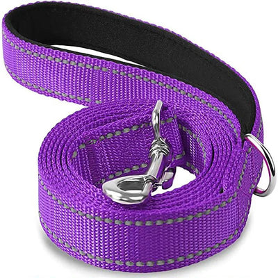 https://cdn.shopify.com/s/files/1/0647/9170/7830/files/laisse-pour-chien-spitz-nain-1045815.webp?v=1777923675