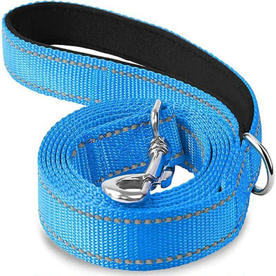 https://cdn.shopify.com/s/files/1/0647/9170/7830/files/laisse-pour-chien-spitz-nain-1649326.webp?v=1777924148