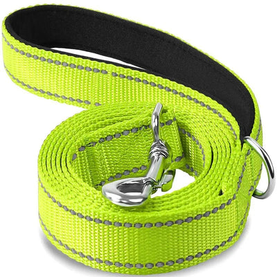 https://cdn.shopify.com/s/files/1/0647/9170/7830/files/laisse-pour-chien-spitz-nain-2515685.webp?v=1777923673