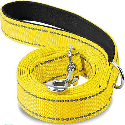 https://cdn.shopify.com/s/files/1/0647/9170/7830/files/laisse-pour-chien-spitz-nain-3647172.webp?v=1777924148