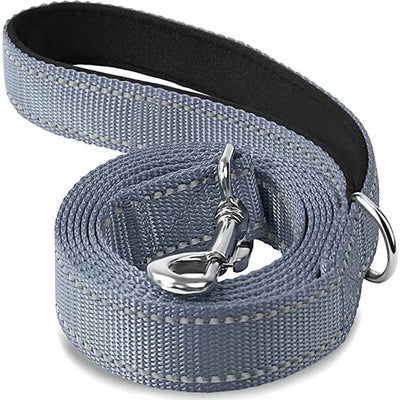 https://cdn.shopify.com/s/files/1/0647/9170/7830/files/laisse-pour-chien-spitz-nain-5000040.webp?v=1777923675