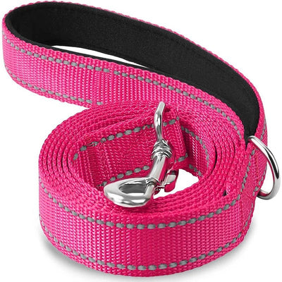 https://cdn.shopify.com/s/files/1/0647/9170/7830/files/laisse-pour-chien-spitz-nain-5304196.webp?v=1777923673