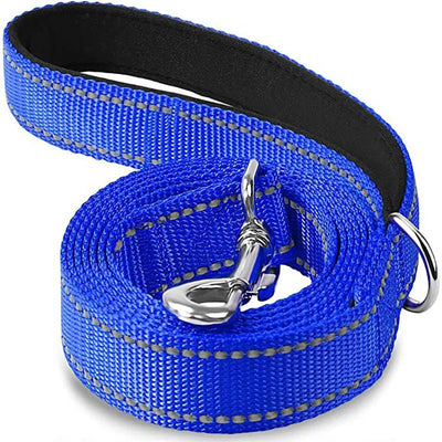 https://cdn.shopify.com/s/files/1/0647/9170/7830/files/laisse-pour-chien-spitz-nain-6017454.webp?v=1777923673
