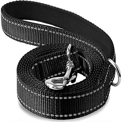 https://cdn.shopify.com/s/files/1/0647/9170/7830/files/laisse-pour-chien-spitz-nain-8170534.webp?v=1777924149