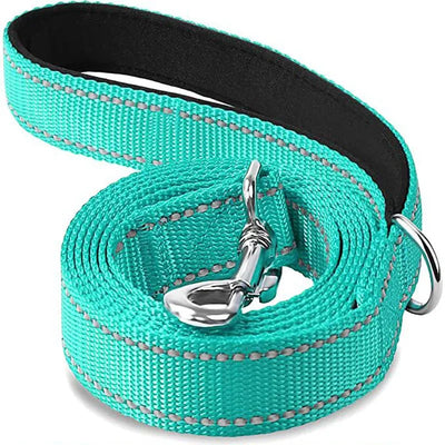 https://cdn.shopify.com/s/files/1/0647/9170/7830/files/laisse-pour-chien-spitz-nain-8878538.webp?v=1777924148