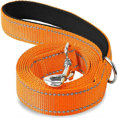 https://cdn.shopify.com/s/files/1/0647/9170/7830/files/laisse-pour-chien-spitz-nain-9254825.webp?v=1777923673