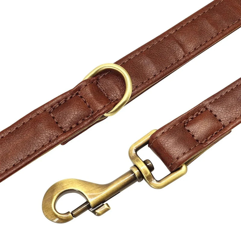 https://cdn.shopify.com/s/files/1/0647/9170/7830/files/laisse-pour-chiot-chihuahua-1771591.webp?v=1777923497