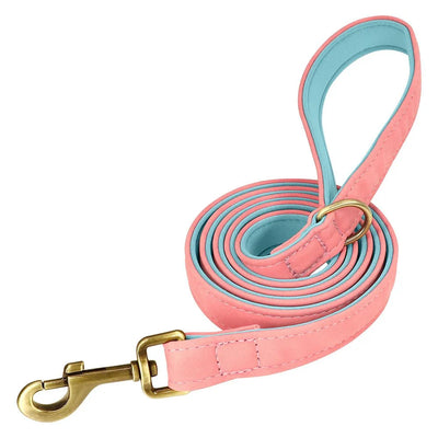 https://cdn.shopify.com/s/files/1/0647/9170/7830/files/laisse-pour-chiot-chihuahua-1502499.webp?v=1777923496