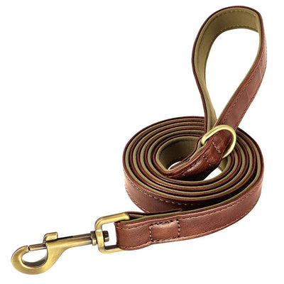 https://cdn.shopify.com/s/files/1/0647/9170/7830/files/laisse-pour-chiot-chihuahua-1701255.webp?v=1777923498