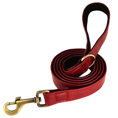 https://cdn.shopify.com/s/files/1/0647/9170/7830/files/laisse-pour-chiot-chihuahua-1771591.webp?v=1777923497
