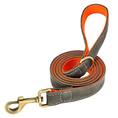 https://cdn.shopify.com/s/files/1/0647/9170/7830/files/laisse-pour-chiot-chihuahua-3570421.webp?v=1777923498