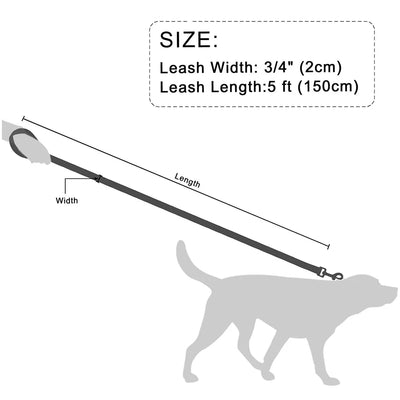 https://cdn.shopify.com/s/files/1/0647/9170/7830/files/laisse-pour-chiot-chihuahua-3754620.webp?v=1777923497