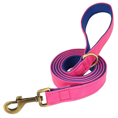 https://cdn.shopify.com/s/files/1/0647/9170/7830/files/laisse-pour-chiot-chihuahua-6701793.webp?v=1777923499
