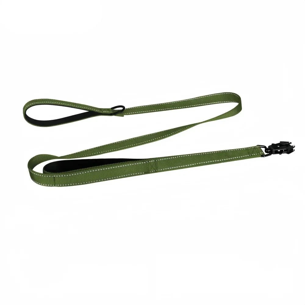 https://cdn.shopify.com/s/files/1/0647/9170/7830/files/laisse-pour-chiot-golden-retriever-2568797.webp?v=1777923675