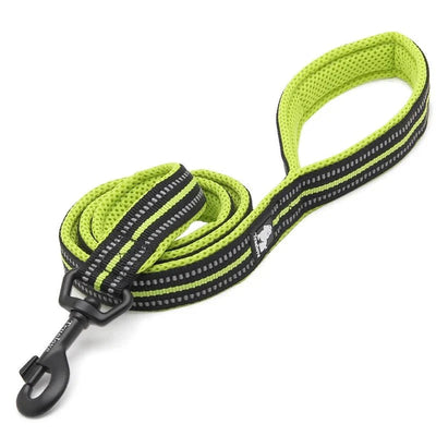 https://cdn.shopify.com/s/files/1/0647/9170/7830/files/laisse-pour-chiot-malinois-3413778.webp?v=1777923077