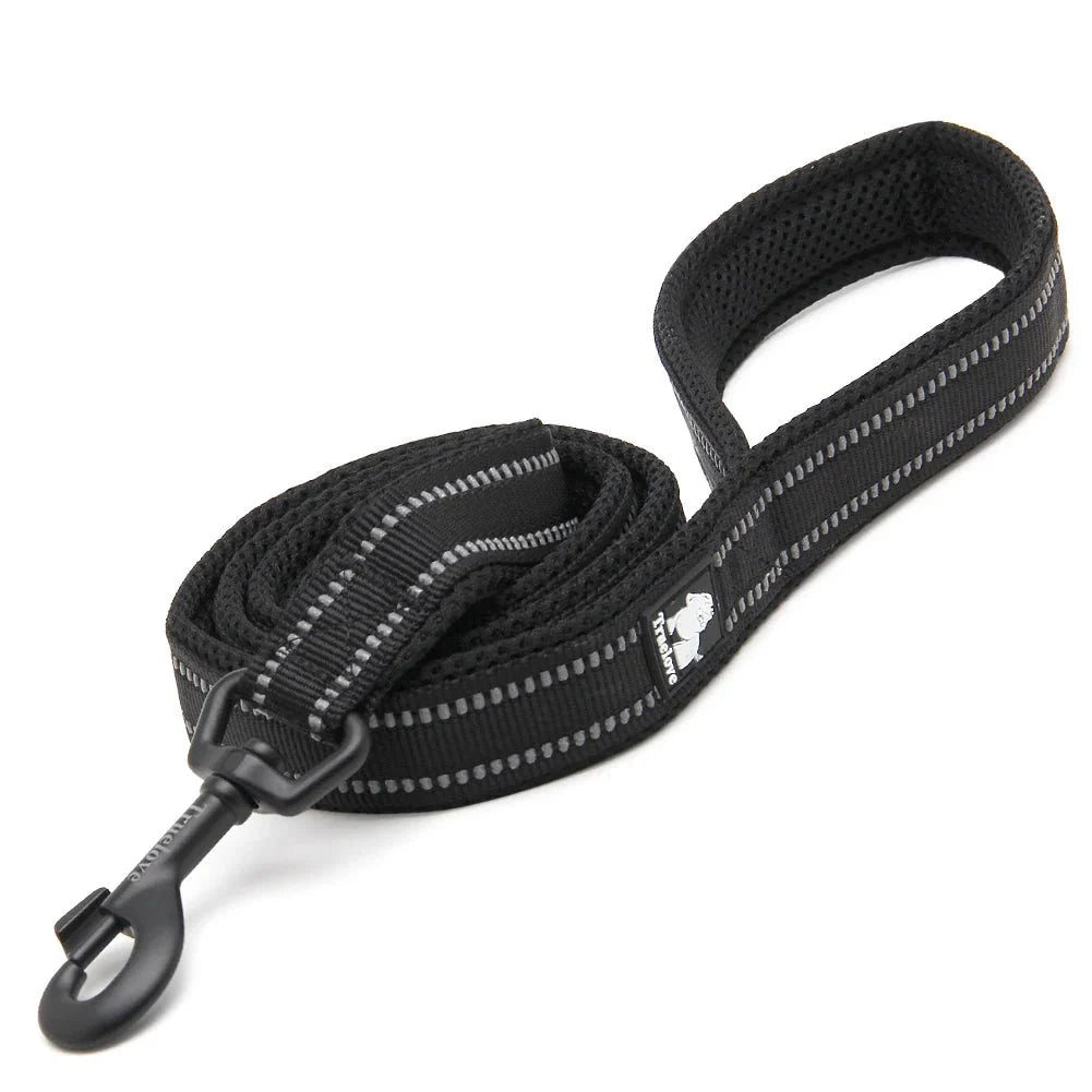 https://cdn.shopify.com/s/files/1/0647/9170/7830/files/laisse-pour-chiot-malinois-7255220.webp?v=1777923078