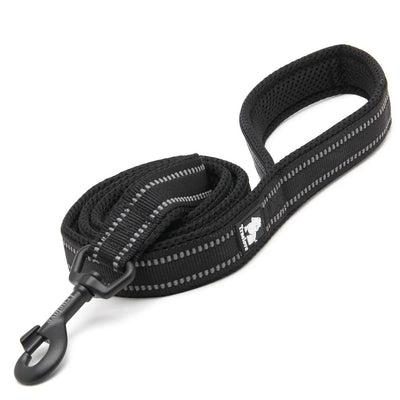 https://cdn.shopify.com/s/files/1/0647/9170/7830/files/laisse-pour-chiot-malinois-7255220.webp?v=1777923078
