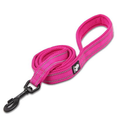 https://cdn.shopify.com/s/files/1/0647/9170/7830/files/laisse-pour-chiot-malinois-7843655.webp?v=1777923078