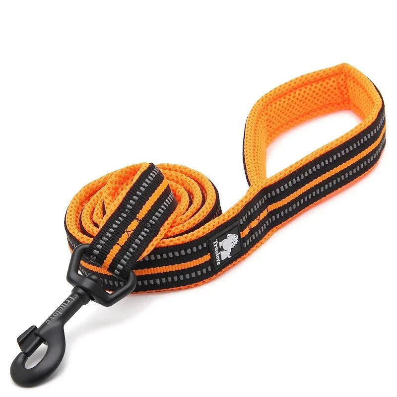 https://cdn.shopify.com/s/files/1/0647/9170/7830/files/laisse-pour-chiot-malinois-7255220.webp?v=1777923078