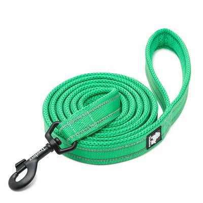 https://cdn.shopify.com/s/files/1/0647/9170/7830/files/laisse-pour-chiot-malinois-9868133.webp?v=1777923077