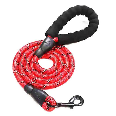 https://cdn.shopify.com/s/files/1/0647/9170/7830/files/laisse-pour-gros-chien-qui-tire-fort-2873045.webp?v=1777923550