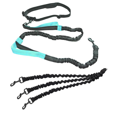 https://cdn.shopify.com/s/files/1/0647/9170/7830/files/laisse-pour-gros-chiens-mains-libres-double-poignees-2988387.webp?v=1777924332