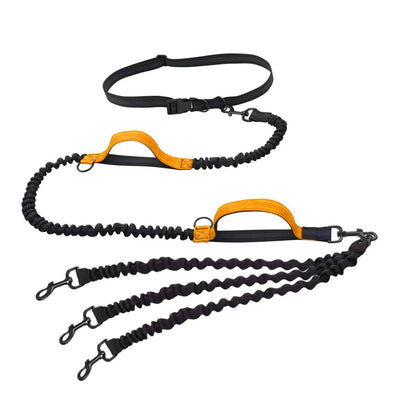 https://cdn.shopify.com/s/files/1/0647/9170/7830/files/laisse-pour-gros-chiens-mains-libres-double-poignees-3823266.webp?v=1777924332