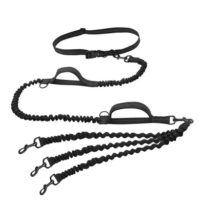 https://cdn.shopify.com/s/files/1/0647/9170/7830/files/laisse-pour-gros-chiens-mains-libres-double-poignees-5368773.webp?v=1777924333