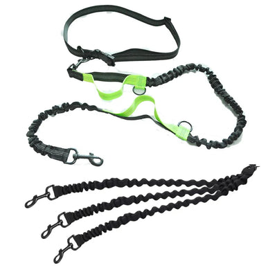 https://cdn.shopify.com/s/files/1/0647/9170/7830/files/laisse-pour-gros-chiens-mains-libres-double-poignees-7666157.webp?v=1777924332
