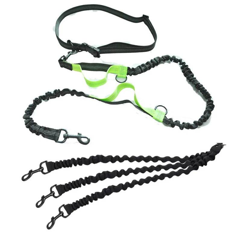 https://cdn.shopify.com/s/files/1/0647/9170/7830/files/laisse-pour-gros-chiens-mains-libres-double-poignees-3823266.webp?v=1777924332