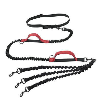 https://cdn.shopify.com/s/files/1/0647/9170/7830/files/laisse-pour-gros-chiens-mains-libres-double-poignees-8695625.webp?v=1777924333